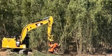 Disboscamento a Uta: “Si chiarisca se dietro il taglio si nasconde un progetto fotovoltaico già bocciato”