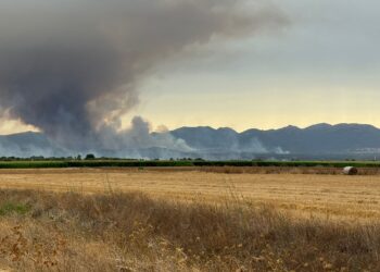 Hinterland Cagliaritano sotto attacco: fiamme a Monastir, Villasor, Villaspeciosa, Serramanna e Uta