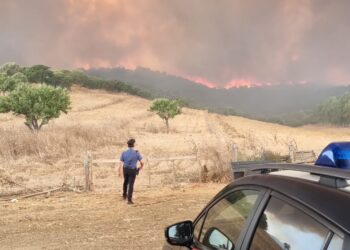 Sud Sardegna, è ancora inferno: tre fronti attivi tra Villacidro, Serramanna e Decimomannu