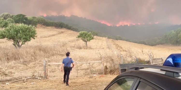 Sud Sardegna, è ancora inferno: tre fronti attivi tra Villacidro, Serramanna e Decimomannu