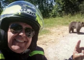 Motociclista italiano ucciso in Romania da un’orsa dopo aver scattato un selfie