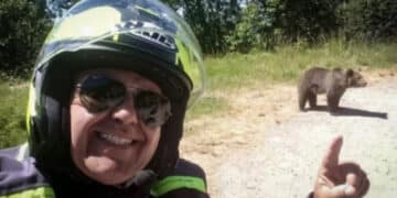 Motociclista italiano ucciso in Romania da un’orsa dopo aver scattato un selfie