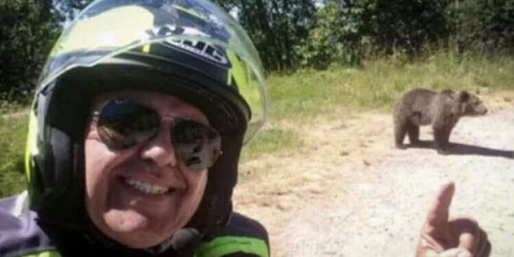 Giustiziata l’orsa che ha aggredito un motociclista italiano in Romania: “Il comportamento umano ha determinato la tragedia”
