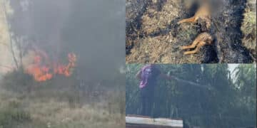 Settimo San Pietro nella morsa del fuoco: immagini impressionanti da Su Padru (VIDEO)