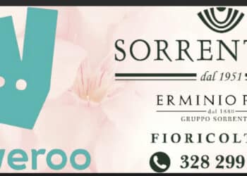 Sorrentino ed Erminio Pani – Gruppo Sorrentino è la prima fioricoltura a Cagliari su Deliveroo!