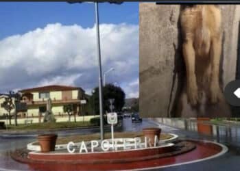 Shock a Capoterra, cane impiccato a una ringhiera, l’assessore Crocco: “Non accetto che succedano queste cose“