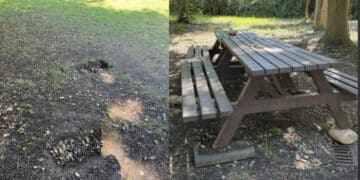 Decimomannu, vandalizzato ancora una volta il parco comunale: sradicato uno dei tavoli in legno e danneggiato il terreno