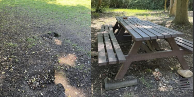 Decimomannu, vandalizzato ancora una volta il parco comunale: sradicato uno dei tavoli in legno e danneggiato il terreno