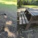 Decimomannu, vandalizzato ancora una volta il parco comunale: sradicato uno dei tavoli in legno e danneggiato il terreno