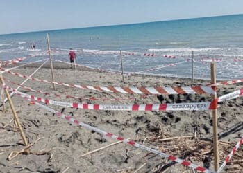 La tragedia di Riccardo Boni, morto a 17 anni sepolto dalla sabbia: il padre indagato per omicidio colposo