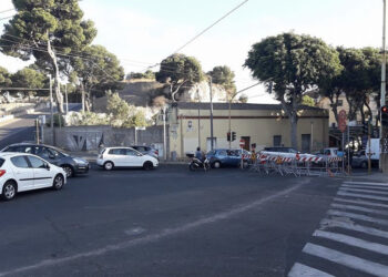Cagliari, potature e manutenzione delle alberature in viale Merello: prorogata la chiusura alla viabilità