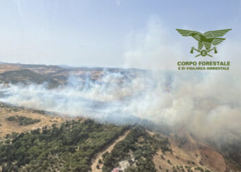 Sardegna ancora nella morsa del fuoco, oggi 26 incendi: bruciano Nurri e Furtei
