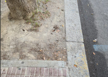 “Pulizia e disinfezione aree cani nei parchi cittadini”ha assicurato il Sindaco Zedda. E nei marciapiedi e nele aiuole delle strade cittadine ?