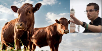 “Rispetto per chi vive di allevamento”: bufera in rete contro l’animalista Enrico Rizzi dopo le dichiarazioni shock sulla Sardegna