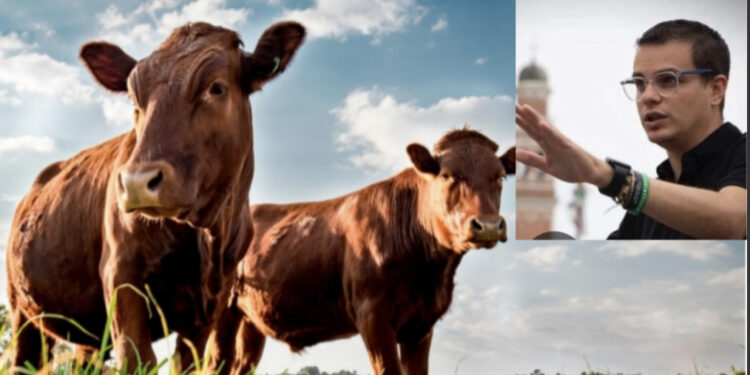 “Rispetto per chi vive di allevamento”: bufera in rete contro l’animalista Enrico Rizzi dopo le dichiarazioni shock sulla Sardegna