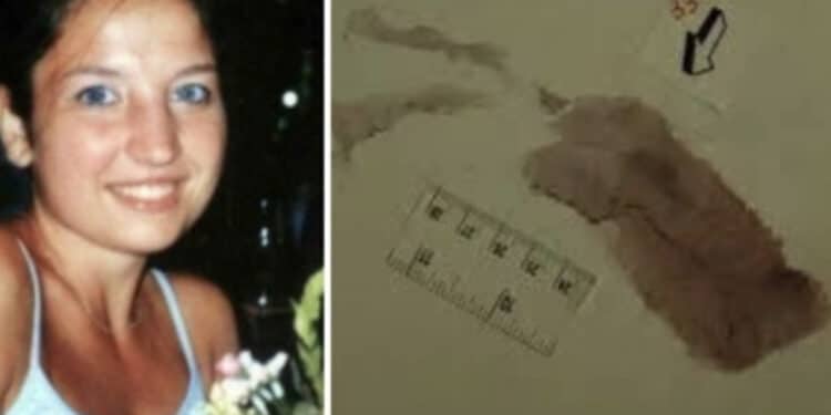 Garlasco, i consulenti di Stasi: “L’impronta 33 intrisa di sangue è di Sempio”