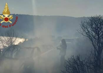 Gli incendi devastano la Sardegna, la proposta dell’ambientalista Deliperi: “Daspo e 20 anni di carcere ai criminali incendiari”