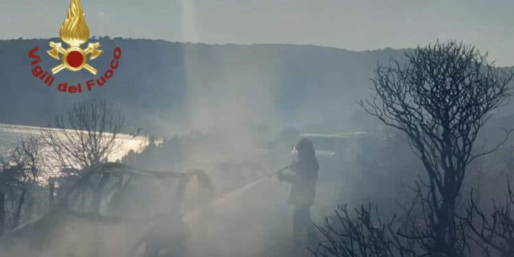 Gli incendi devastano la Sardegna, la proposta dell’ambientalista Deliperi: “Daspo e 20 anni di carcere ai criminali incendiari”