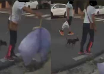 Flumini di Quartu, beccata mentre getta la spazzatura in strada: “La principessa ha perso la corona ma anche tre buste di immondezza“