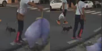 Flumini di Quartu, beccata mentre getta la spazzatura in strada: “La principessa ha perso la corona ma anche tre buste di immondezza“