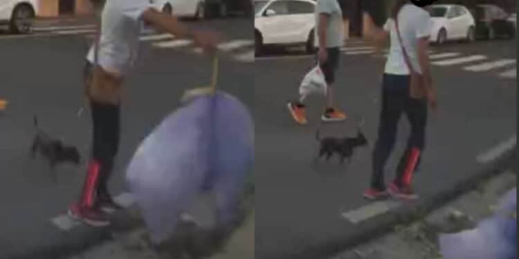 Flumini di Quartu, beccata mentre getta la spazzatura in strada: “La principessa ha perso la corona ma anche tre buste di immondezza“