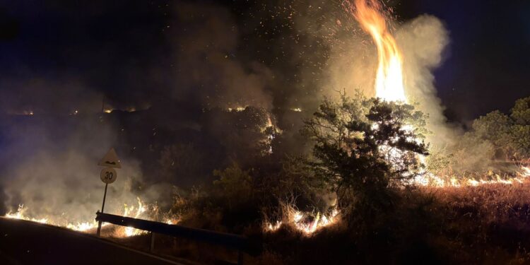 Incendio nella notte lungo la Bosa-Montresta: sul posto forestali, barracelli e vigili del fuoco