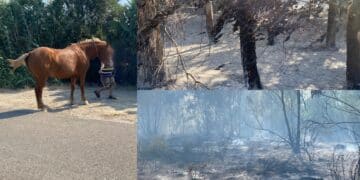 Settimo San Pietro, 80 ettari bruciati dal devastante incendio che ha messo in pericolo aziende e persone