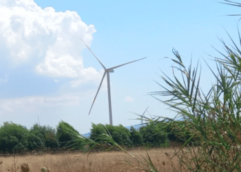 “Avanza la speculazione energetica e la legge Pratobello24 continua a rimanere chiusa nei cassetti del Consiglio regionale”