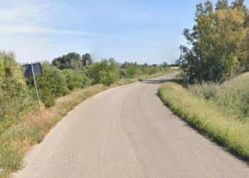 Bordi strada in fiore lungo la Sp5 che collega Serrenti e Serramanna, preoccupazione da parte degli automobilisti