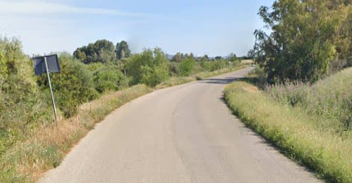 Bordi strada in fiore lungo la Sp5 che collega Serrenti e Serramanna, preoccupazione da parte degli automobilisti