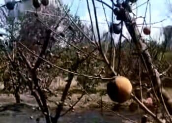 Villacidro, le lacrime e il dolore di chi ha perso tutto