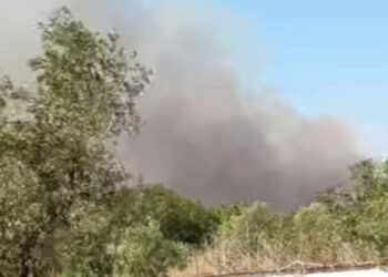 Attacco al turismo, grosso incendio minaccia Orosei: evacuato un residence