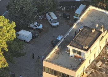 Orrore a Selargius, durante il blitz anti abusivi uccide una tartaruga con un machete per mangiarsela