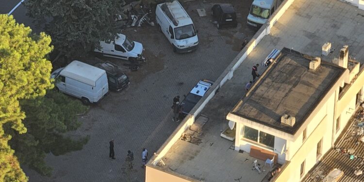 Orrore a Selargius, durante il blitz anti abusivi uccide una tartaruga con un machete per mangiarsela