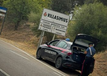 Villasimius, ai domiciliari coltivava marijuana nel suo cortile: denunciato un 41enne