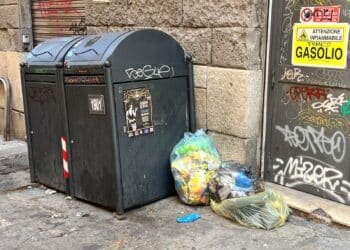 Cagliari, basta rifiuti in strada che attirano topi e blatte: “Via i cassonetti tra via Baylle e via Sardegna”