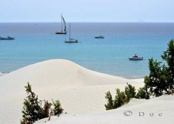 Contaminazione nelle aree non in uso esclusivo dei militari, stop ai pascoli a Teulada