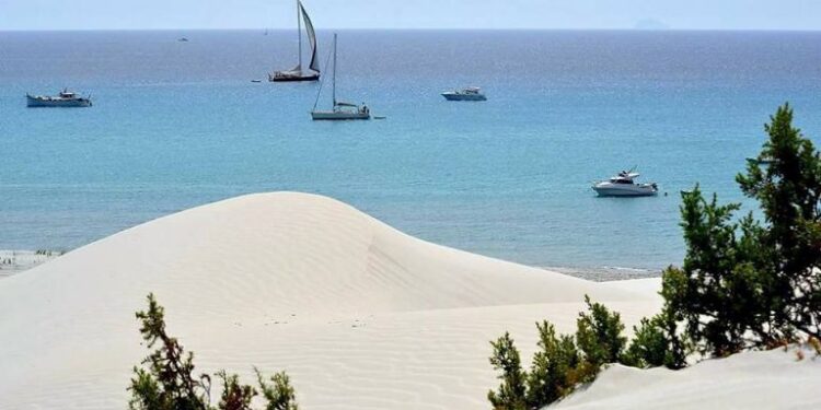 Contaminazione nelle aree non in uso esclusivo dei militari, stop ai pascoli a Teulada