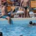 Capoterra, musica e schiamazzi alla festa in piscina a Ferragosto: residenti divisi
