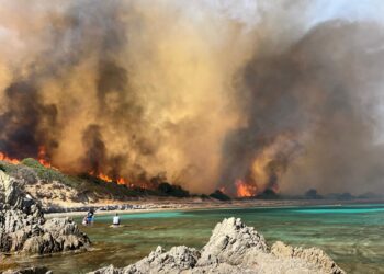 Incendi in Sardegna, come eliminare le coincidenze e diminuire i roghi