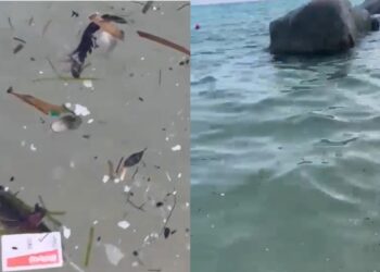 Mare ultra sporco a Solanas, i bagnanti in rivolta filmano tutto: “Colpa delle barche”