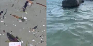 Mare ultra sporco a Solanas, i bagnanti in rivolta filmano tutto: “Colpa delle barche”