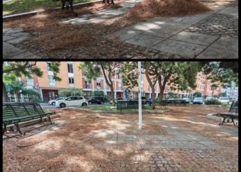 Cagliari, piazza Paese di Desulo ancora sommersa dagli aghi di pino: “A distanza di un mese nulla è cambiato, se non in peggio”