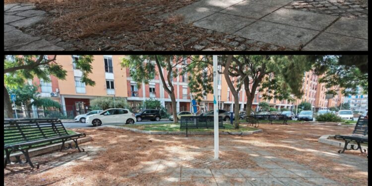 Cagliari, piazza Paese di Desulo ancora sommersa dagli aghi di pino: “A distanza di un mese nulla è cambiato, se non in peggio”