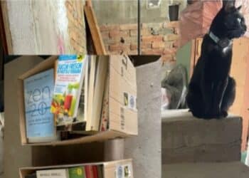 Quartucciu, il caso della donazione mancata: “La burocrazia blocca i miei libri in biblioteca”