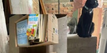 Quartucciu, il caso della donazione mancata: “La burocrazia blocca i miei libri in biblioteca”