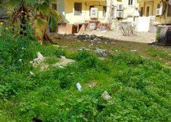 Cagliari, residenti esasperati: “In via dei Donoratico discarica a cielo aperto con topi e scarafaggi”