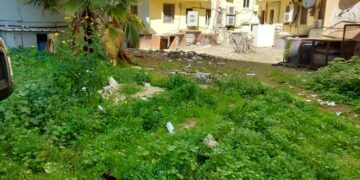 Cagliari, residenti esasperati: “In via dei Donoratico discarica a cielo aperto con topi e scarafaggi”