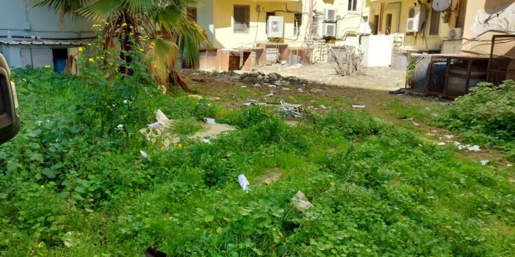 Cagliari, residenti esasperati: “In via dei Donoratico discarica a cielo aperto con topi e scarafaggi”