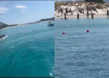 Punta Molentis si ripopola: primi tuffi dopo il rogo